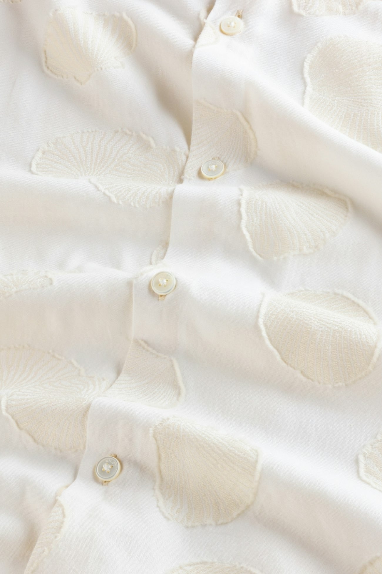 Freddy SS NO PKT 5715 Ivory