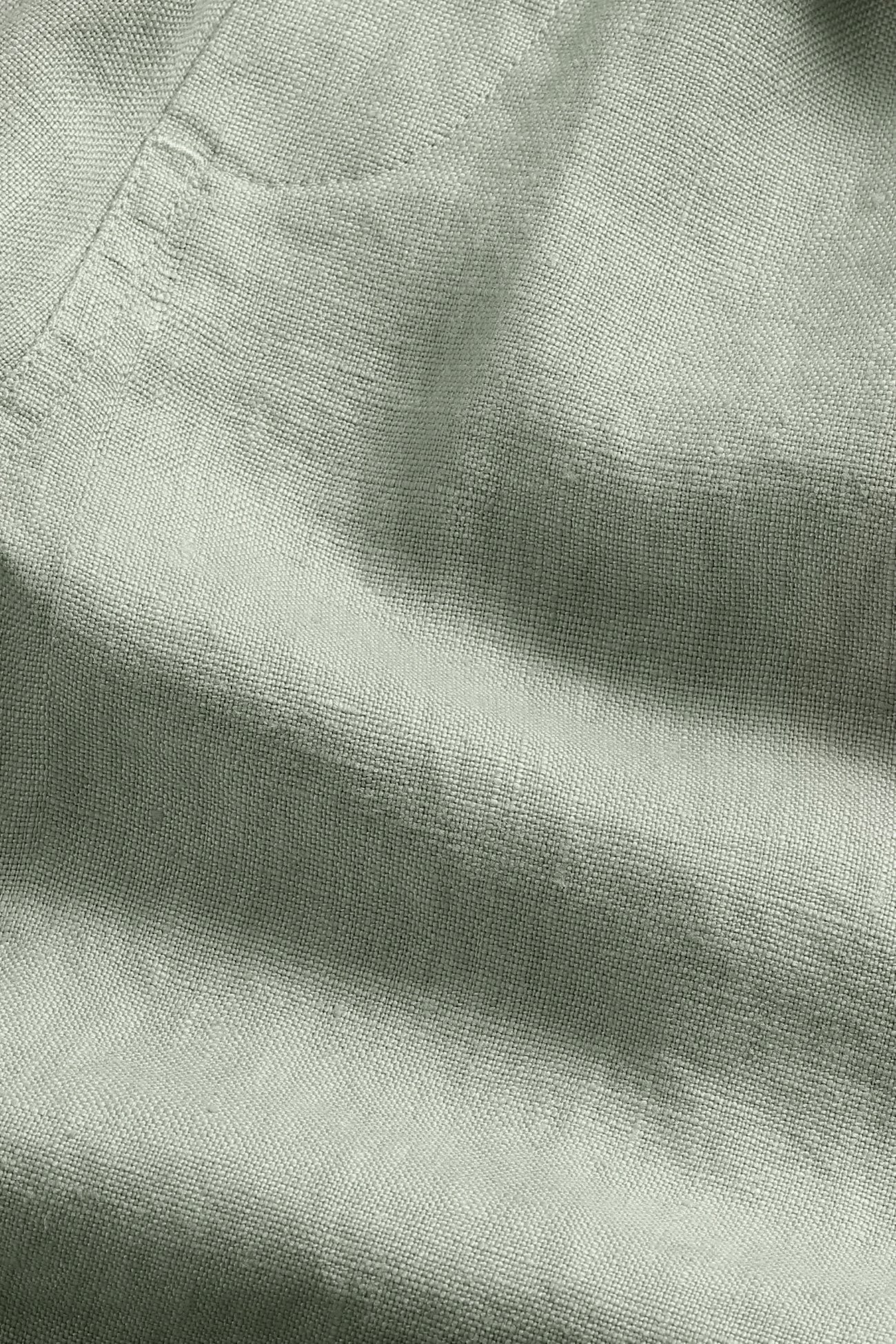 Gregor Shorts 1454 Sage Green