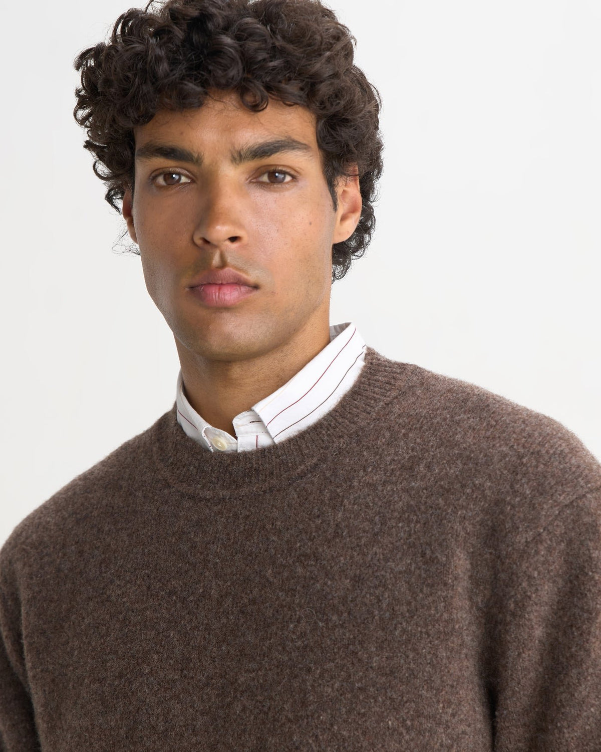 Wilde Crew - Brown